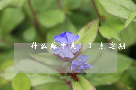 什么账单是10点逾期 什么账单是10点逾期