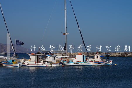 什么贷款不看支付宝逾期 什么贷款不看支付宝逾期