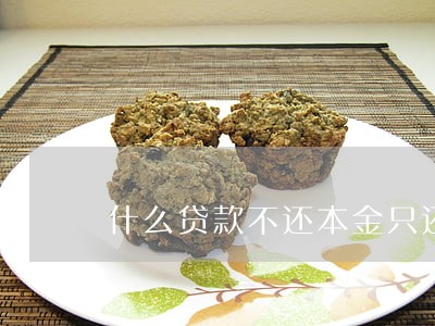 什么贷款不还本金只还利息 什么贷款不还本金只还利息