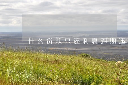 什么贷款只还利息到期还本金 什么贷款只还利息到期还本金