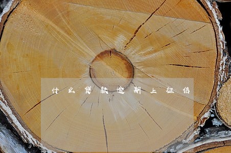 什么贷款逾期上征信 什么贷款逾期上征信