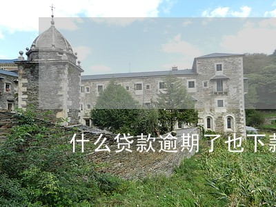 什么贷款逾期了也下款 什么贷款逾期了也下款