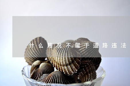什么路况不属于道路违法停车 什么路况不属于道路违法停车