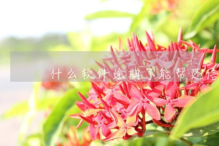 什么软件逾期了能帮还信用卡 什么软件逾期了能帮还信用卡