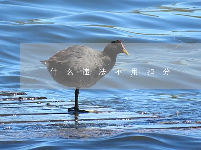 什么违法不用扣分 什么违法不用扣分