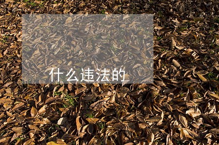 什么违法的 什么违法的