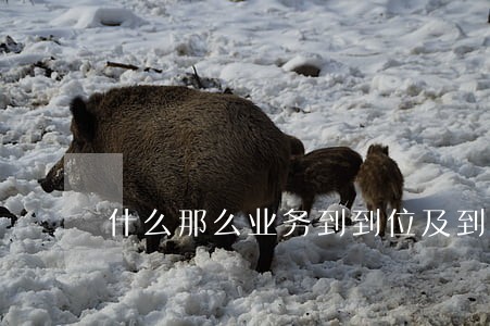 什么那么业务到到位及到人人民法
