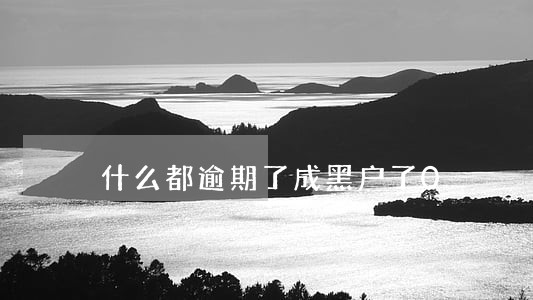 什么都逾期了成黑户了0 什么都逾期了成黑户了0