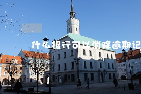 什么银行可以消除逾期记录 什么银行可以消除逾期记录