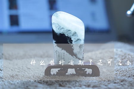 什么银行逾期了还可以办信用卡 什么银行逾期了还可以办信用卡
