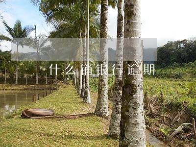 什么销银行逾期 什么销银行逾期