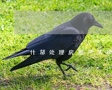 什邡处理房地产法律问题的律师 什邡处理房地产法律问题的律师