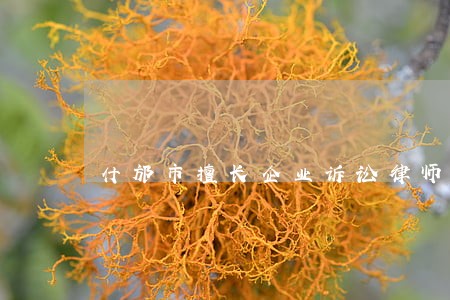 什邡市擅长企业诉讼律师 什邡市擅长企业诉讼律师