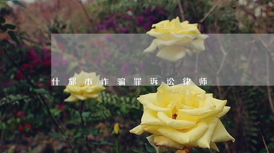 什邡市诈骗罪诉讼律师 什邡市诈骗罪诉讼律师