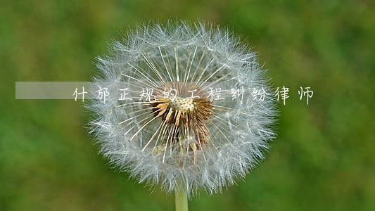 什邡正规的工程纠纷律师