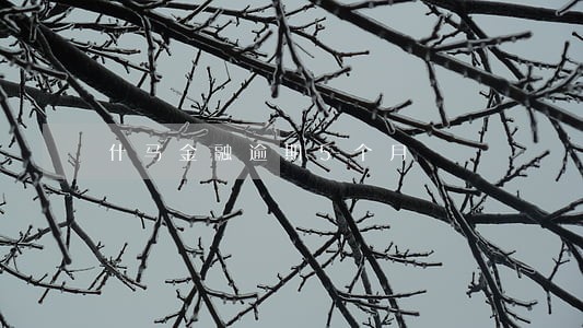 什马金融逾期5个月 什马金融逾期5个月