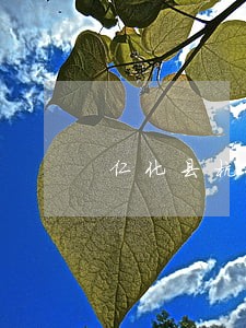 仁化县杭州律师 仁化县杭州律师