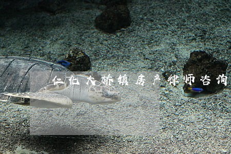 仁化大桥镇房产律师咨询 仁化大桥镇房产律师咨询