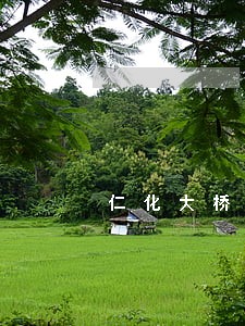 仁化大桥镇离婚律师费