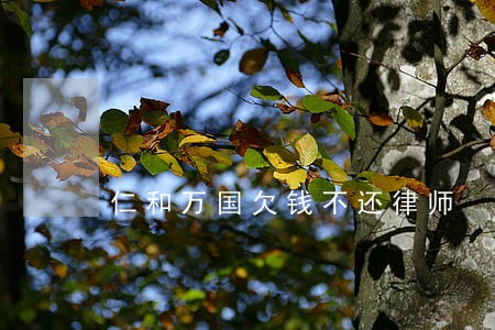 仁和万国欠钱不还律师 仁和万国欠钱不还律师