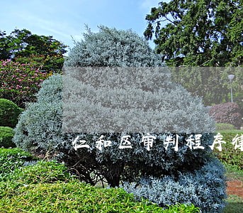 仁和区审判程序律师 仁和区审判程序律师