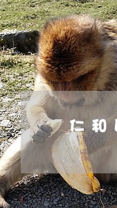 仁和区暴力犯罪在线律师 仁和区暴力犯罪在线律师