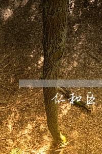 仁和区民商事律师 仁和区民商事律师