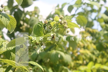 仁和区综合在线律师 仁和区综合在线律师