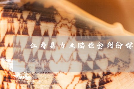 仁寿县专业赔偿金纠纷律师 仁寿县专业赔偿金纠纷律师