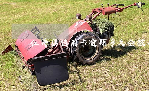 仁寿县信用卡逾期多久会被罚