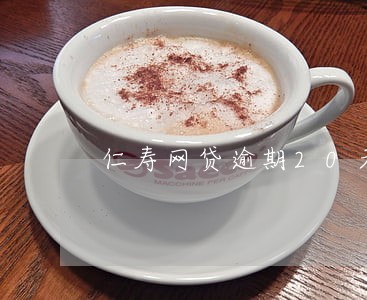 仁寿网贷逾期20天怎么处理 仁寿网贷逾期20天怎么处理
