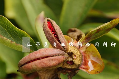 仁布县专业收购合同纠纷律师 仁布县专业收购合同纠纷律师