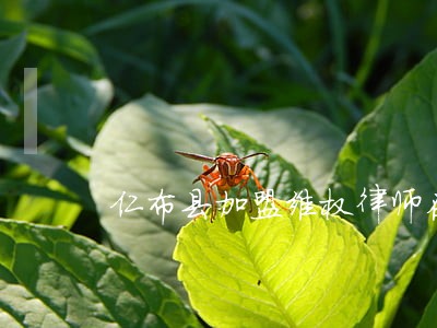 仁布县加盟维权律师在线免费咨询