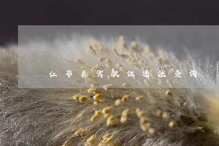 仁布县驾驶证违法查询 仁布县驾驶证违法查询