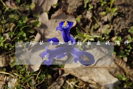 仁怀市加盟维权在线律师 仁怀市加盟维权在线律师