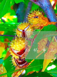 仁怀市工伤赔偿在线律师咨询