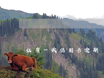 仅有一次信用卡逾期