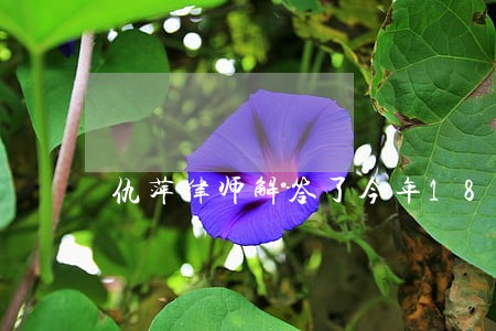 仇萍律师解答了今年18岁 仇萍律师解答了今年18岁