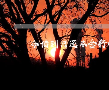 今借到只还本金行吗 今借到只还本金行吗
