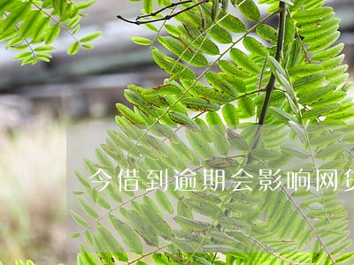 今借到逾期会影响网贷吗 今借到逾期会影响网贷吗