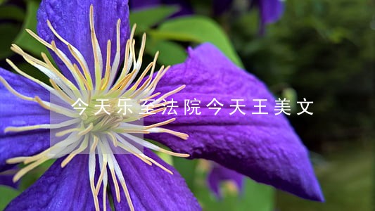 今天乐至法院今天王美文