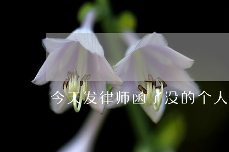 今天发律师函了没的个人空间 今天发律师函了没的个人空间
