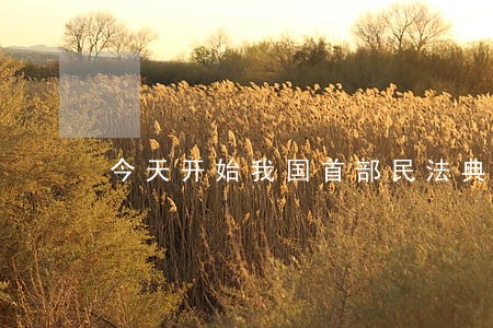 今天开始我国首部民法典正式实施 今天开始我国首部民法典正式实施