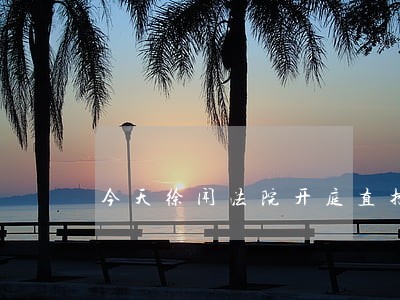今天徐闻法院开庭直播