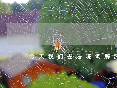 今天我们去法院调解离婚 今天我们去法院调解离婚