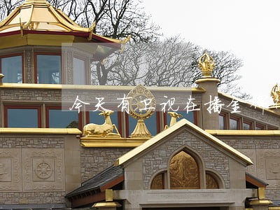 今天有卫视在播金牌律师 今天有卫视在播金牌律师