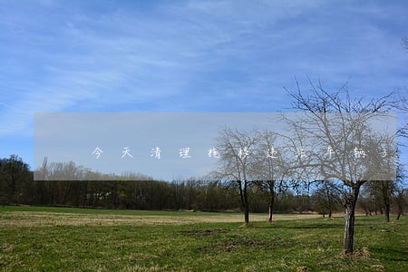 今天清理拖移违法车辆32辆 今天清理拖移违法车辆32辆