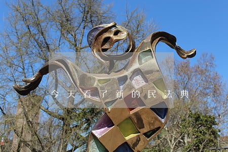 今天看了新的民法典 今天看了新的民法典