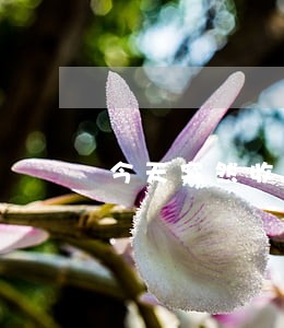 今天突然收到律师电话 今天突然收到律师电话
