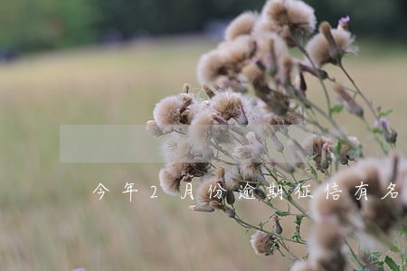 今年2月份逾期征信有名单吗 今年2月份逾期征信有名单吗